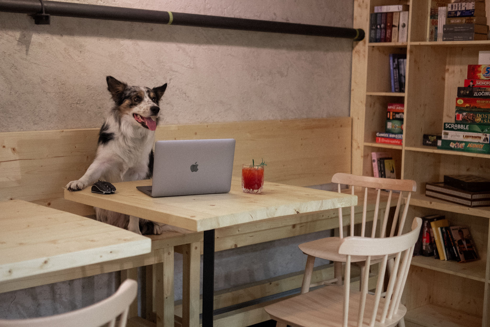 Pes sedící u stolu s notebookem